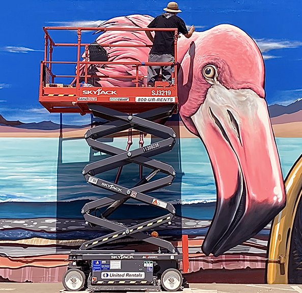 Pink Flamingo / Mural painting 