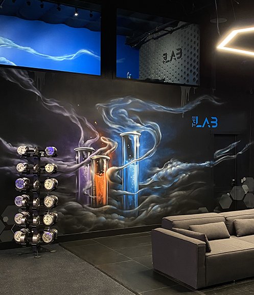 The Lab Gym Mural