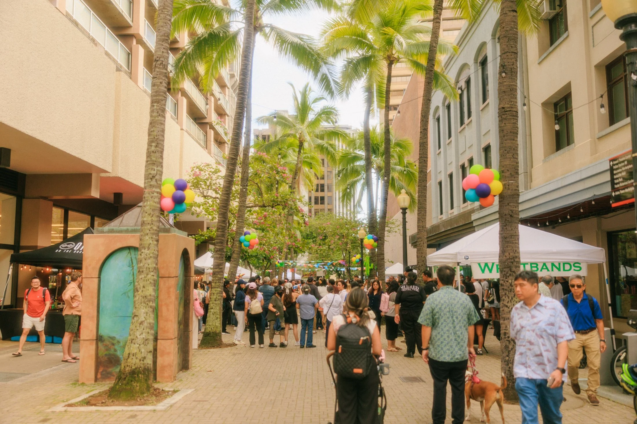oahu-event-photographer-28.jpg