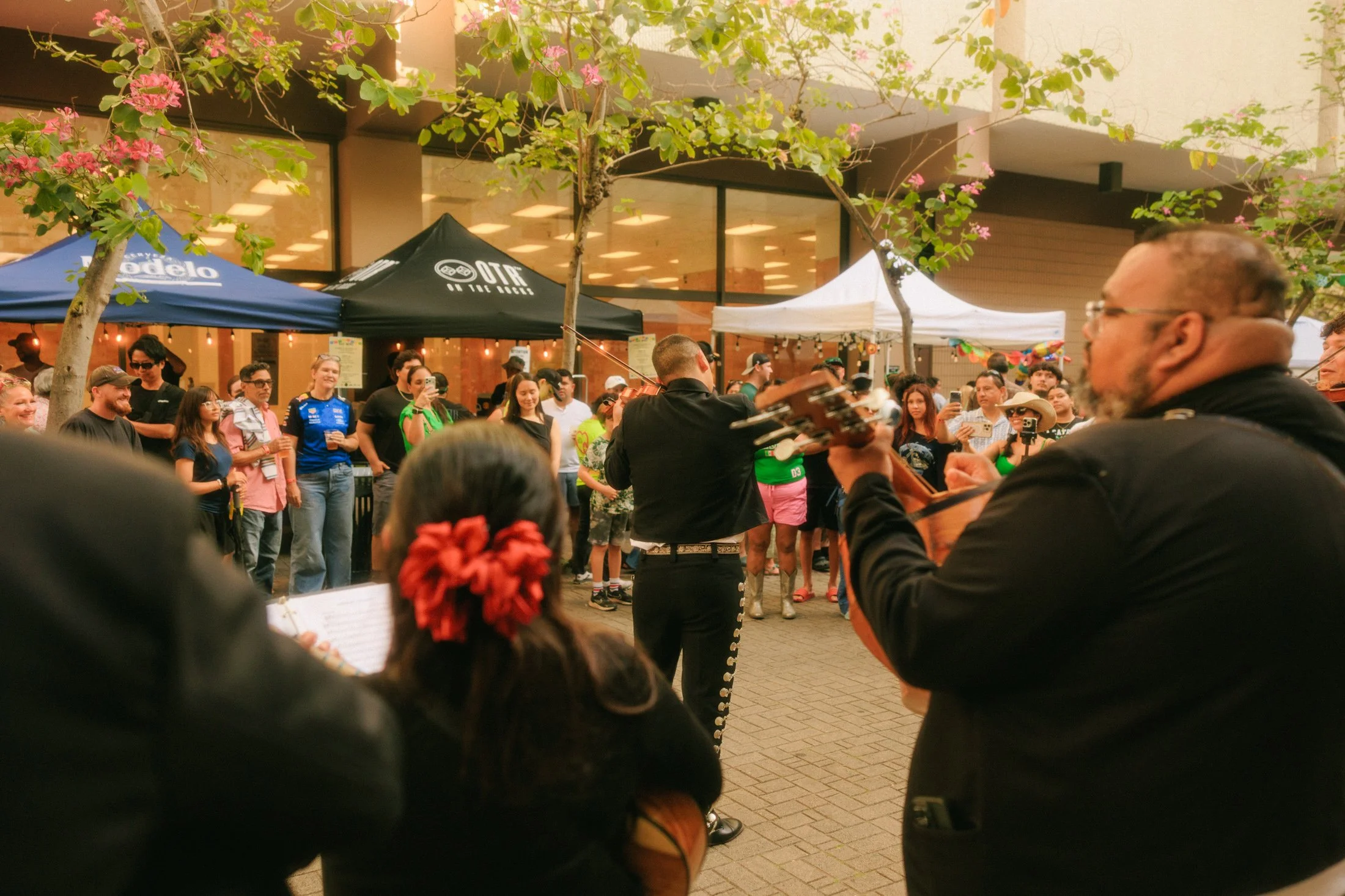 oahu-event-photographer-41.jpg