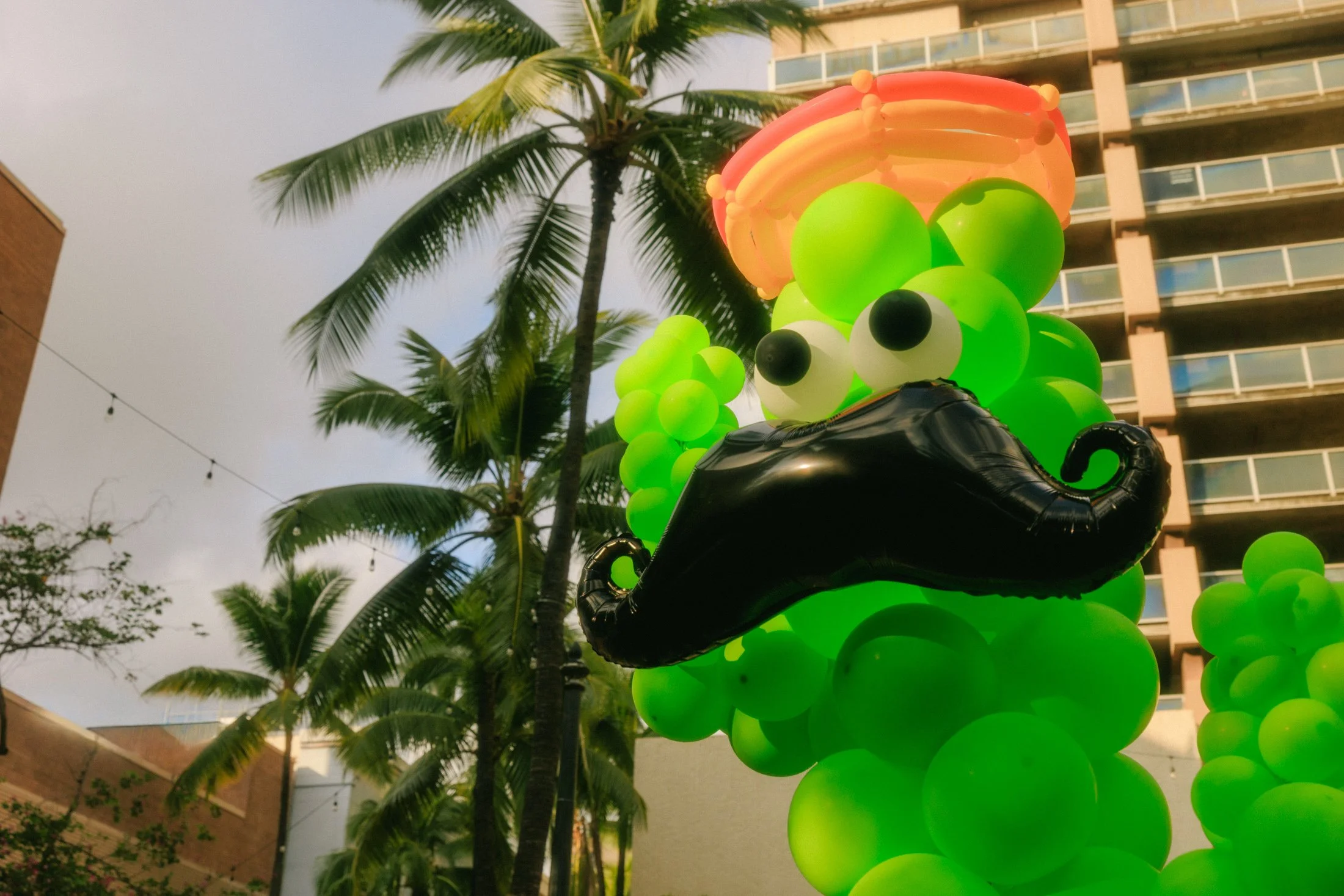 oahu-event-photographer-52.jpg