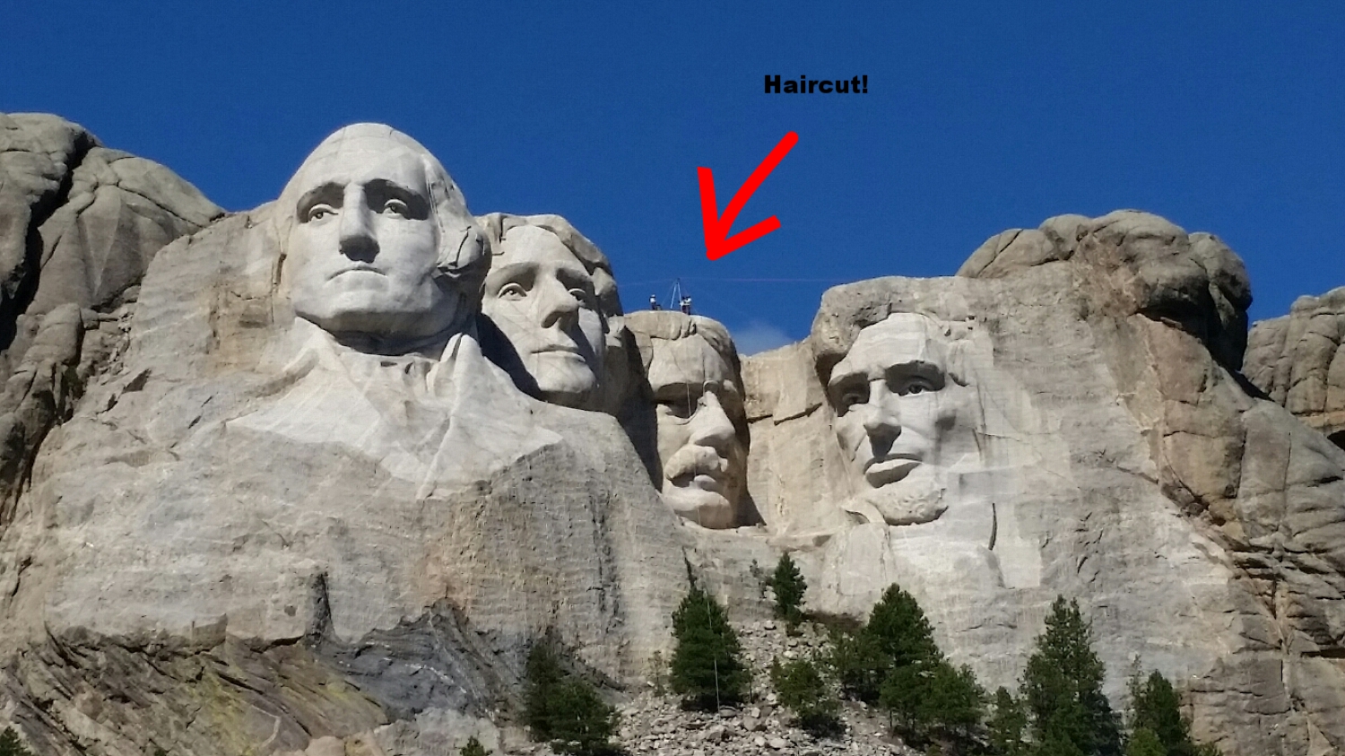 Teddy was getting a hair cut the day we were there! See them up there?