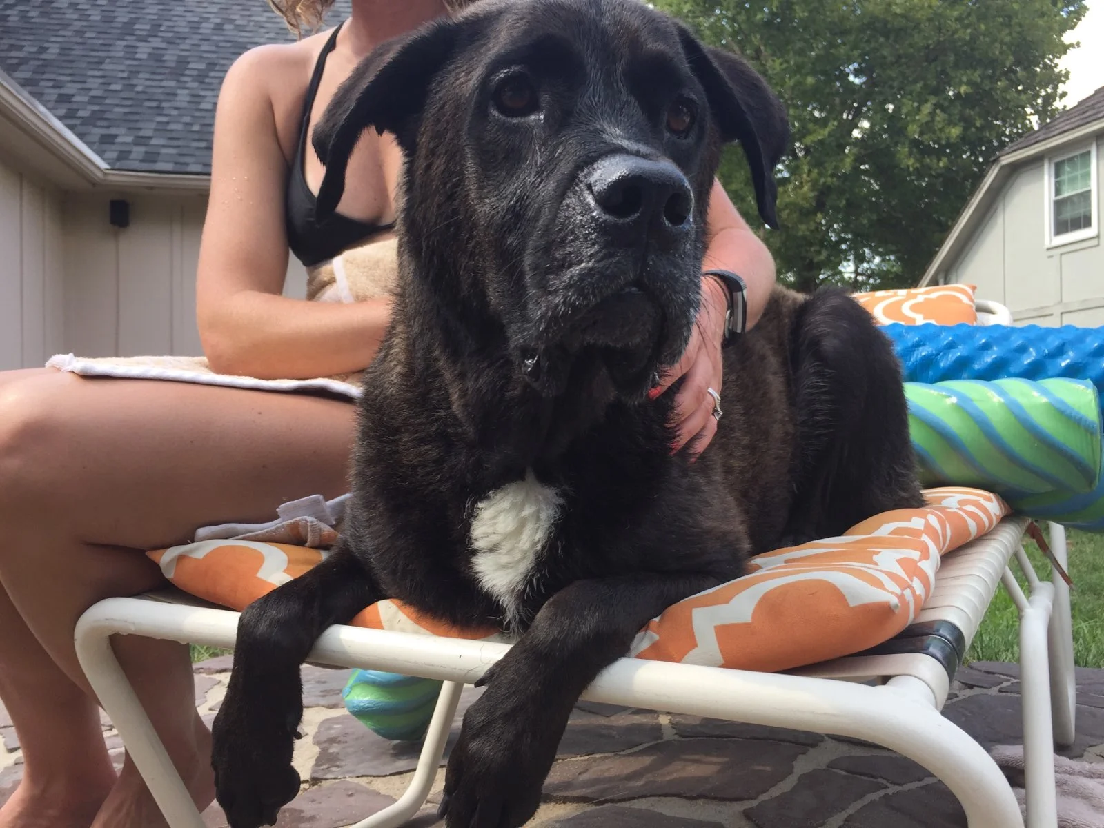 Porter