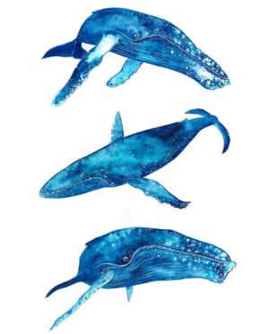 2f40643a-c81f-4c16-9436-517f43e3b17a.png