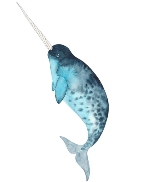 11905e09-05cf-4538-9806-54eff1a80c0a.png