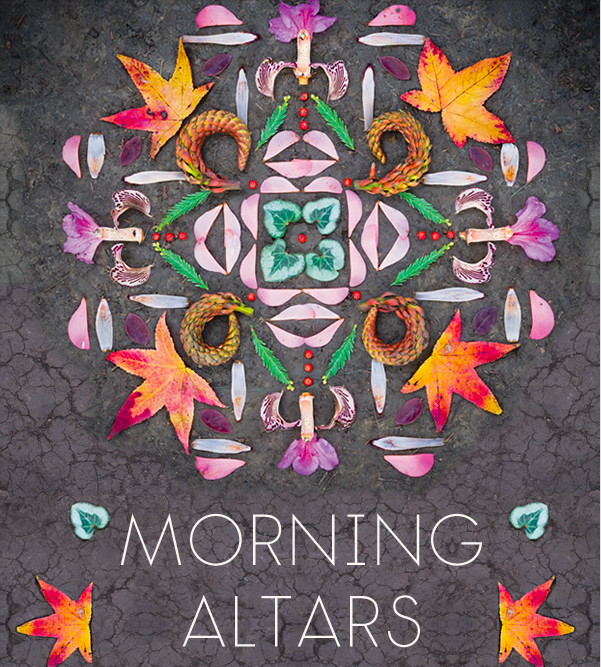 Beauty Alert: Morning Altars