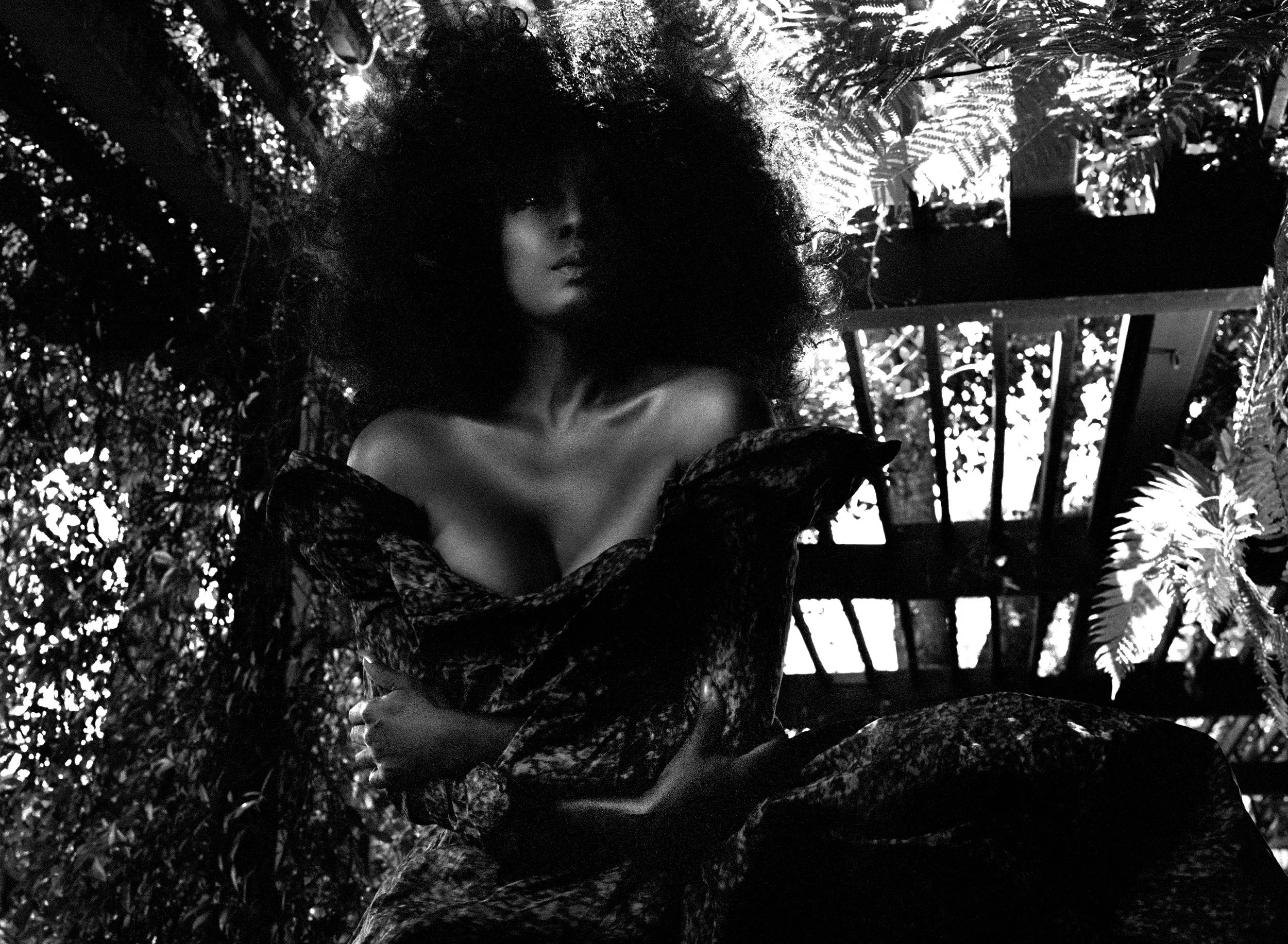 22472-X01_47_v2-bw.jpg