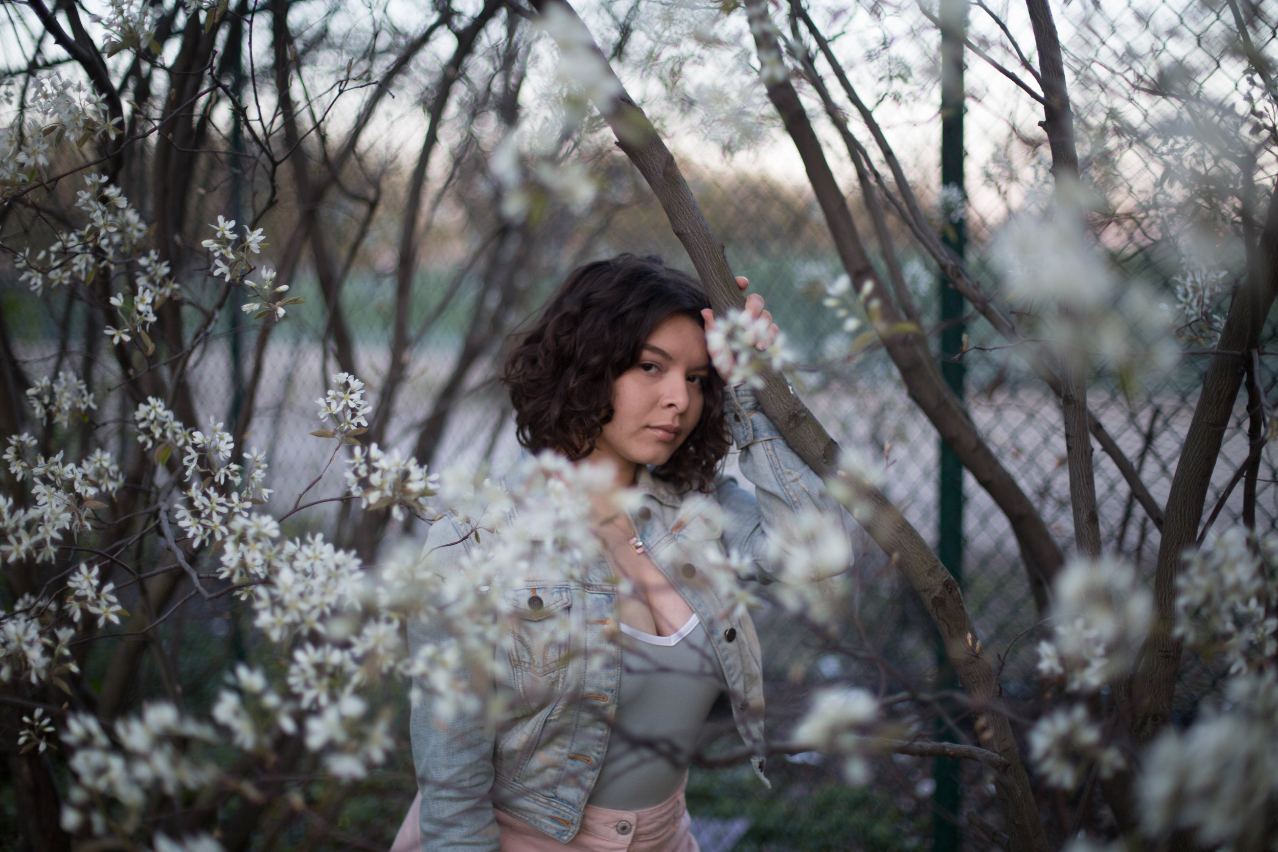 lightroom-presets.jpg