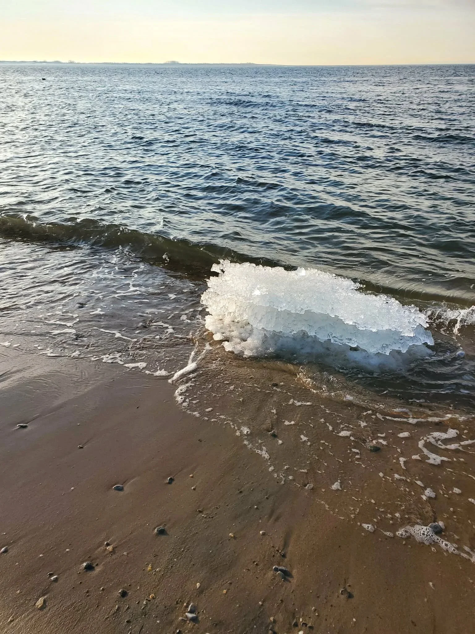blue+inp5.jpg
