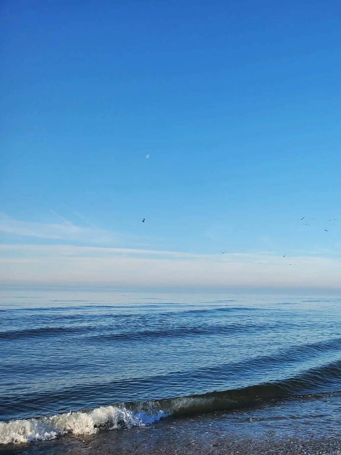 blue.6jpg.jpg