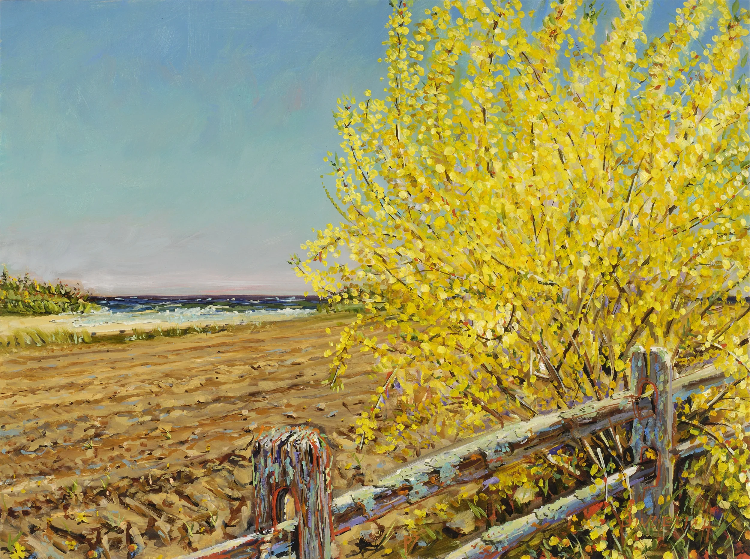Yellow Delirium 36 x 48 inches, oil on canvas
