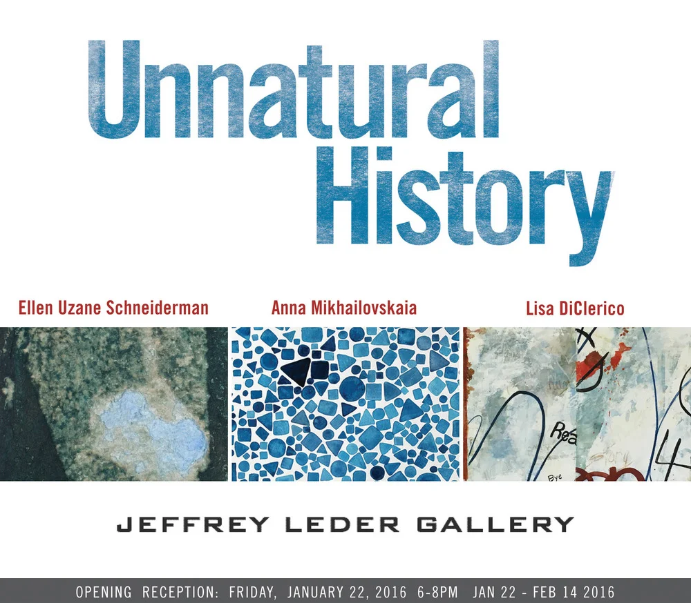 UNNATURAL HISTORY: Lisa DiClerico, Anna Mikhailovskaia & Ellen Uzane Schneiderman at Jeffrey Leder Gallery