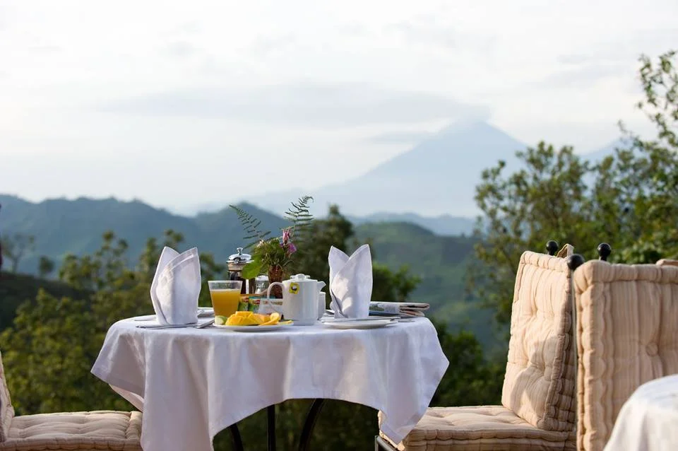 Immagine at sunrise sitting at 2,000 m with Bwindi forest at your back,the virungas on the front and your table is laid amidst.This is silverbacks and golden views you can't miss!