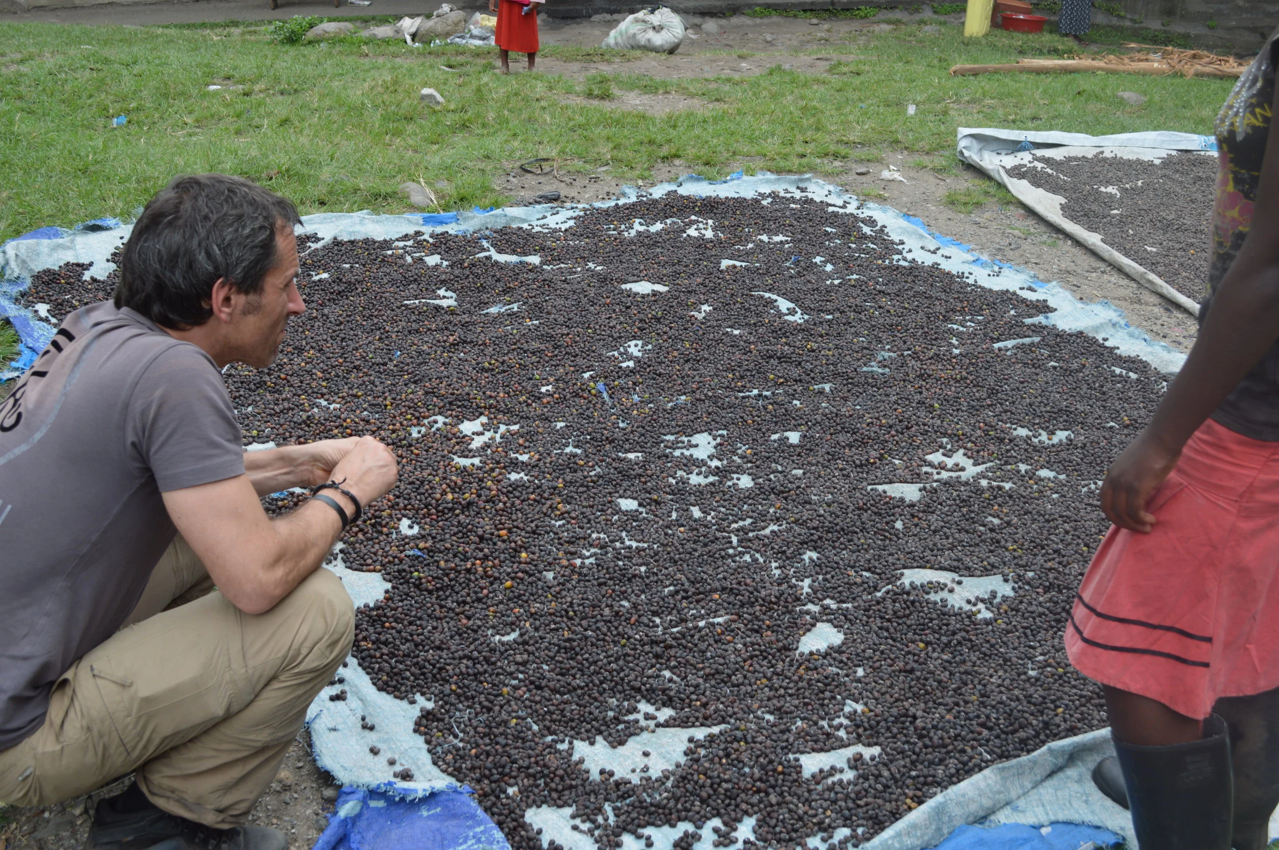 Get off the beaten paths and learn about local coffee processing.