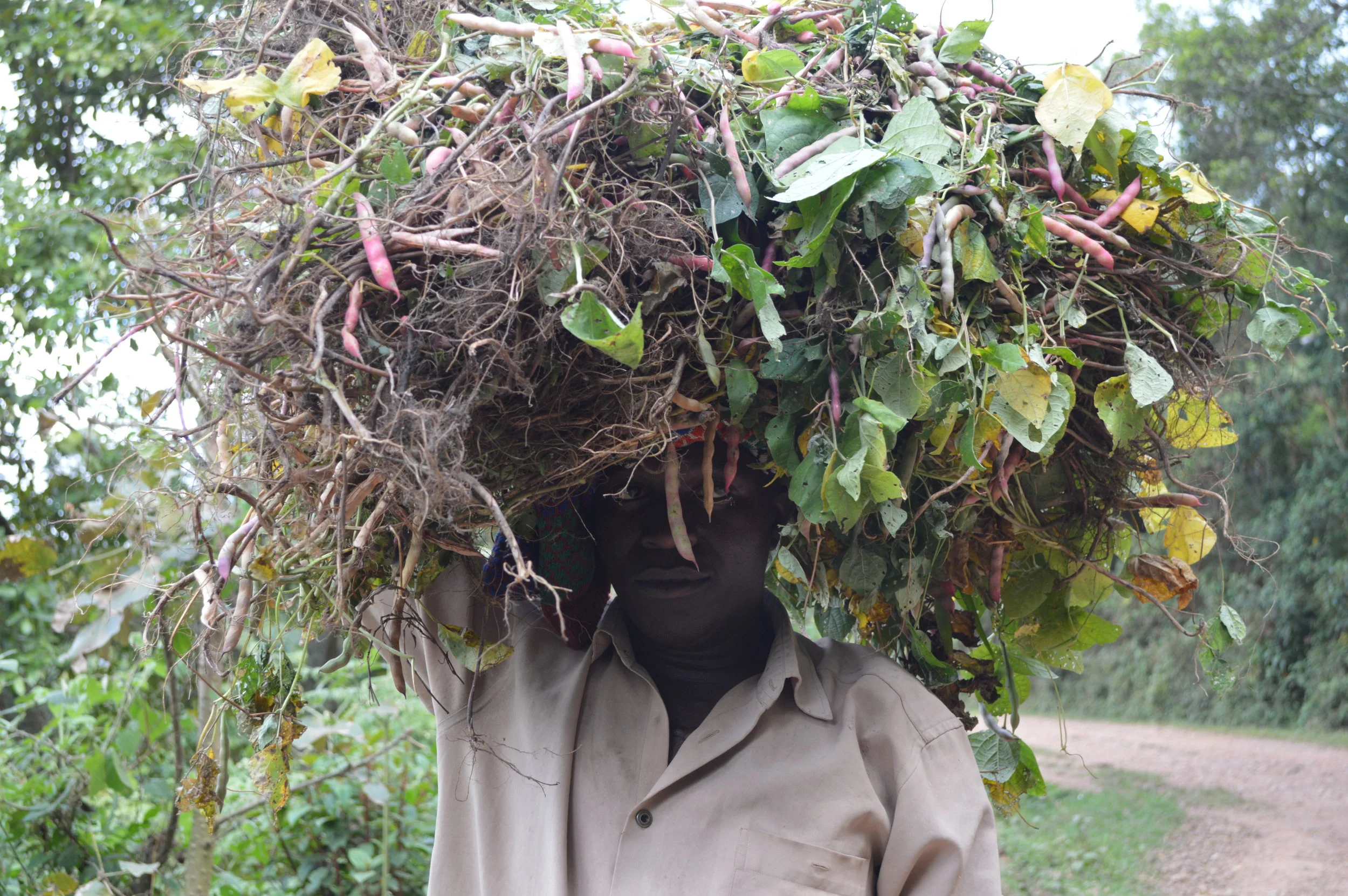 Traditional life around Bwindi.jpg