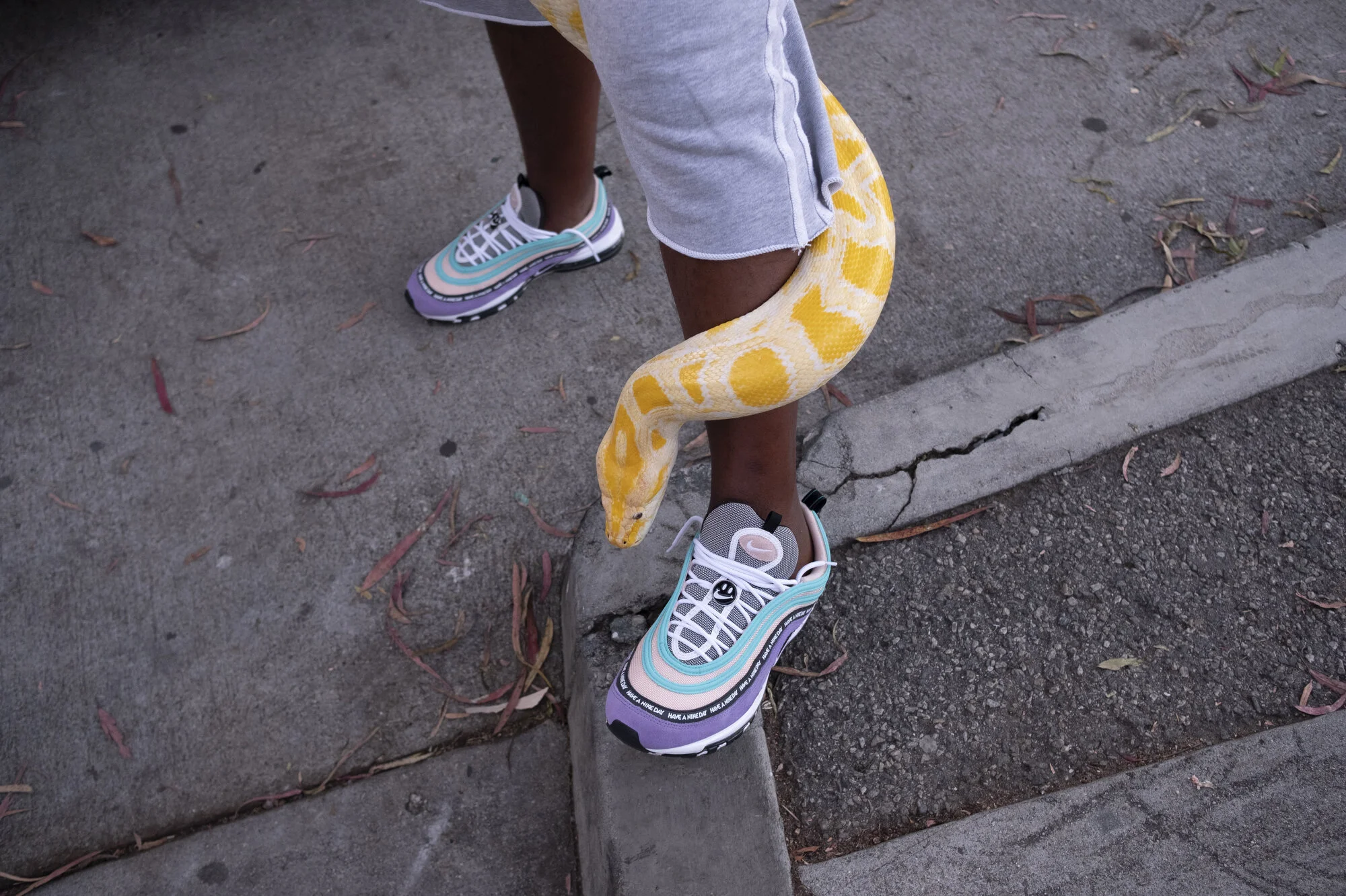  Donte Henderson plays with his pet snake named “Yella” at Summer Night Lights (SNL), a gang-intervention initiative put on by the Los Angeles Mayor’s Office in 32 city parks. In a South LA neighborhood, community members are helping the younger gene