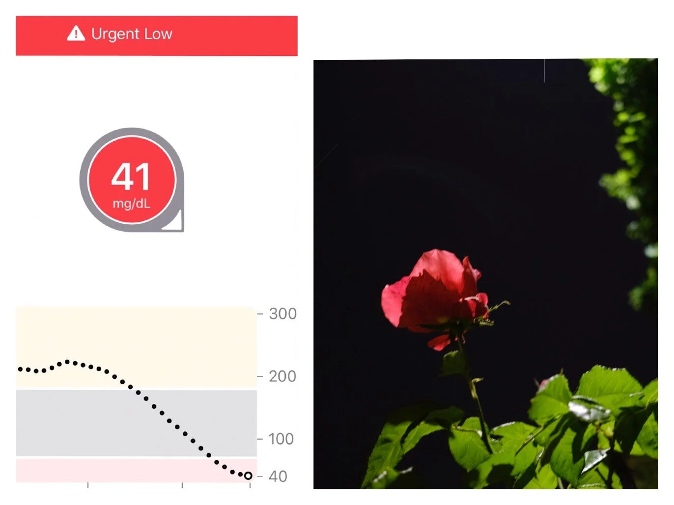  If I give too much insulin, then my blood sugar drops. I become light-headed and risk passing out, and eventually this leads to brain damage or death. But if I habitually eat carbs to correct my blood sugar even when I’m not hungry, then I risk weig