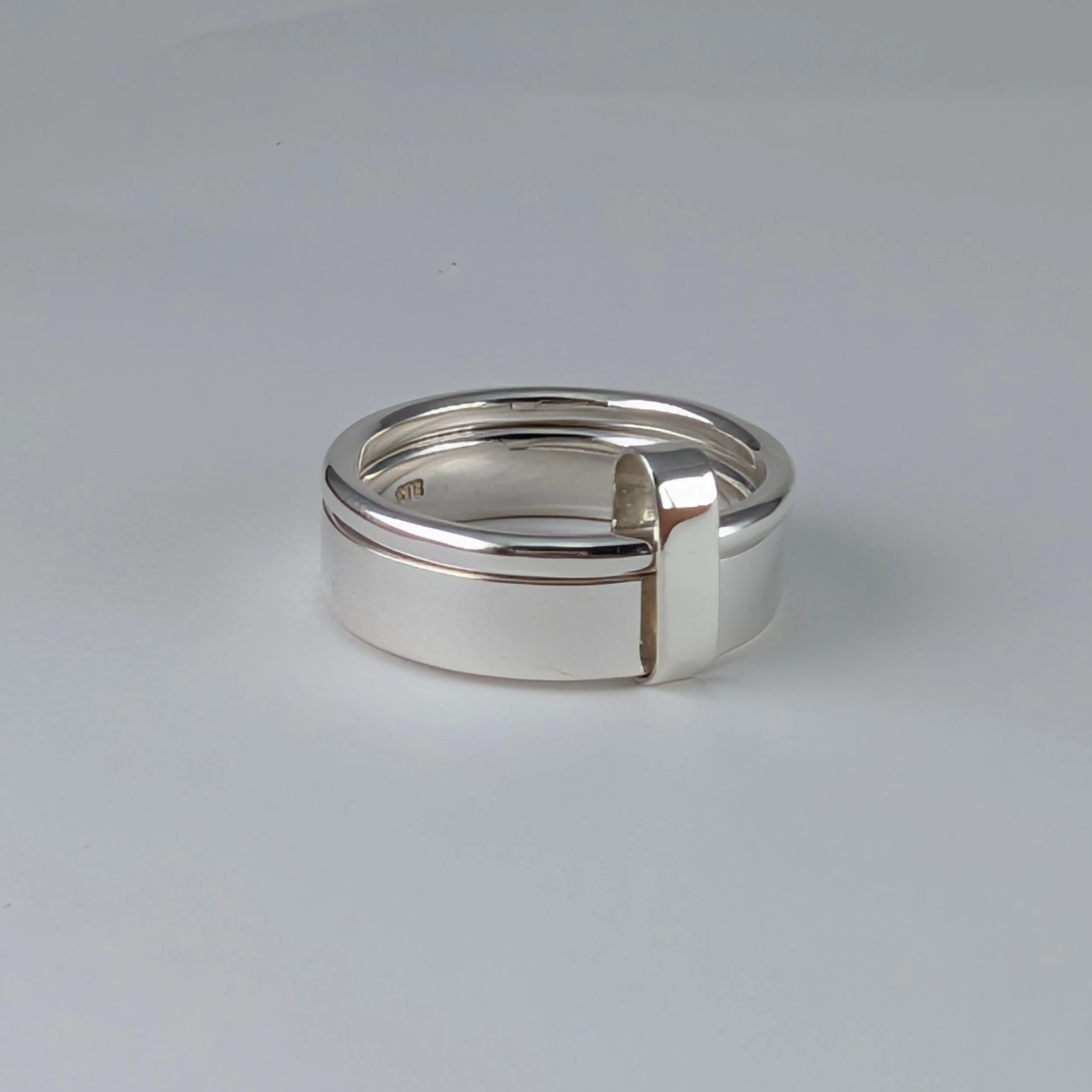 Connected rings wide and thin v8.jpg