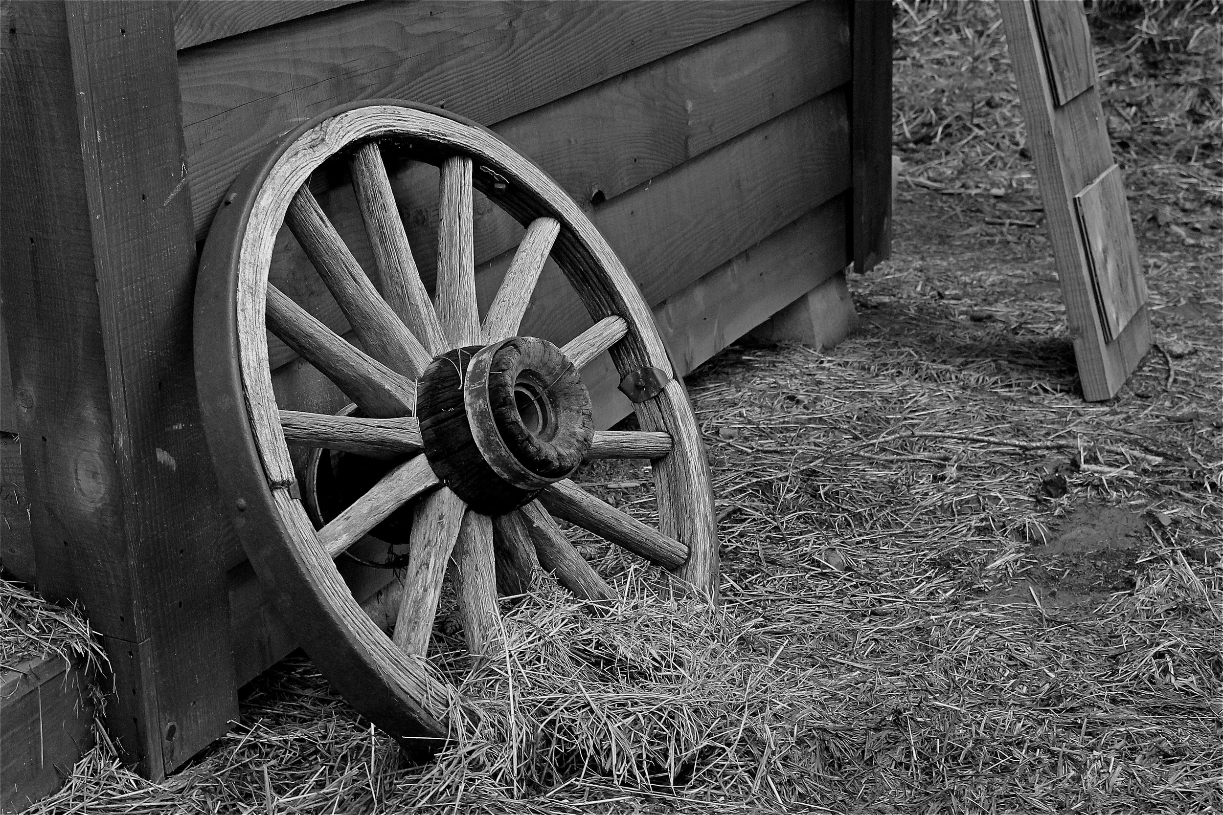 Wagon Wheel B&W.jpg
