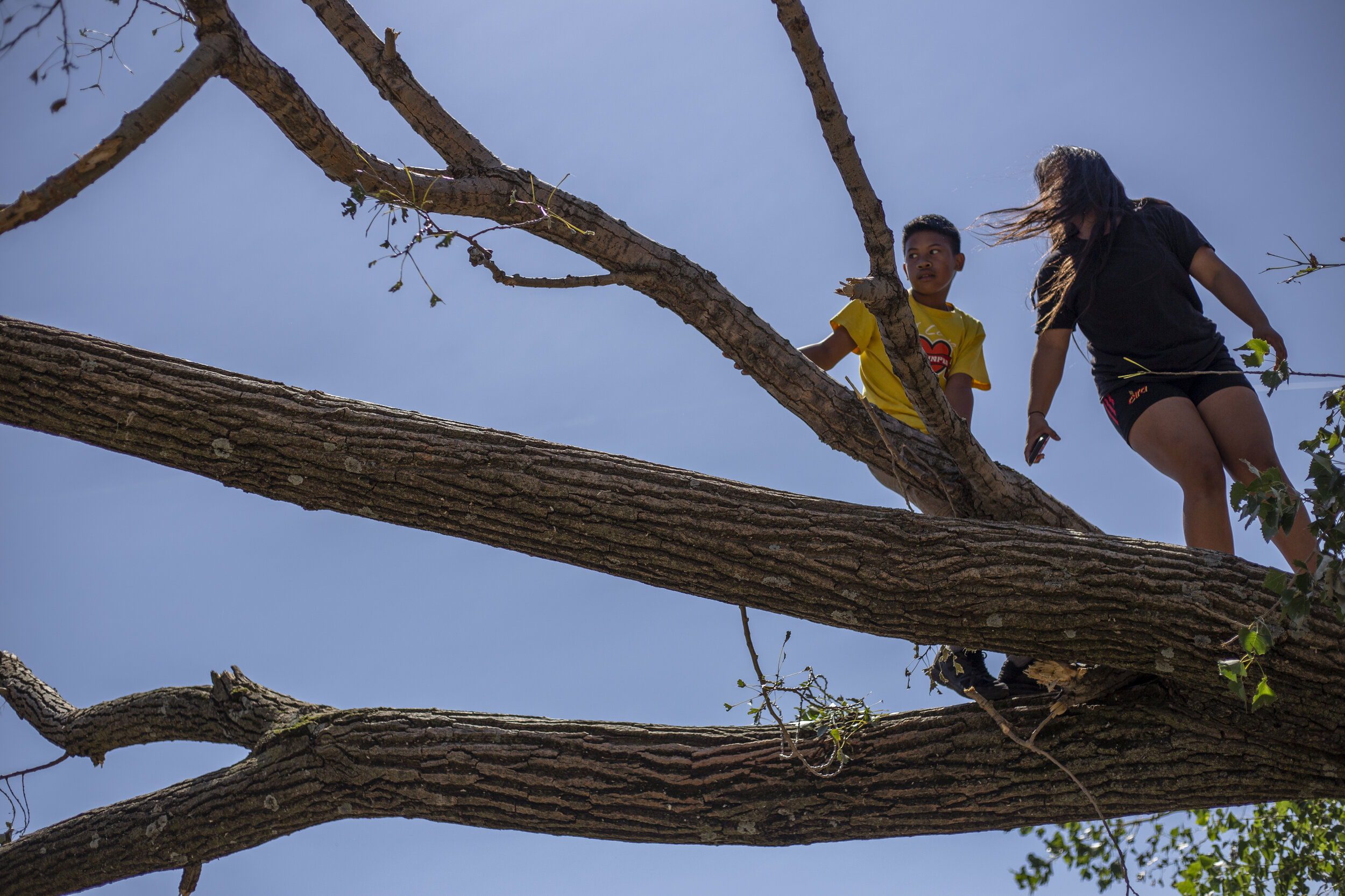  Curtis Thomas (left) and Shaundry Phillip play on a fallen tree near their apartment on Monday, August 16th, 2020 in Cedar Rapids, Iowa. 