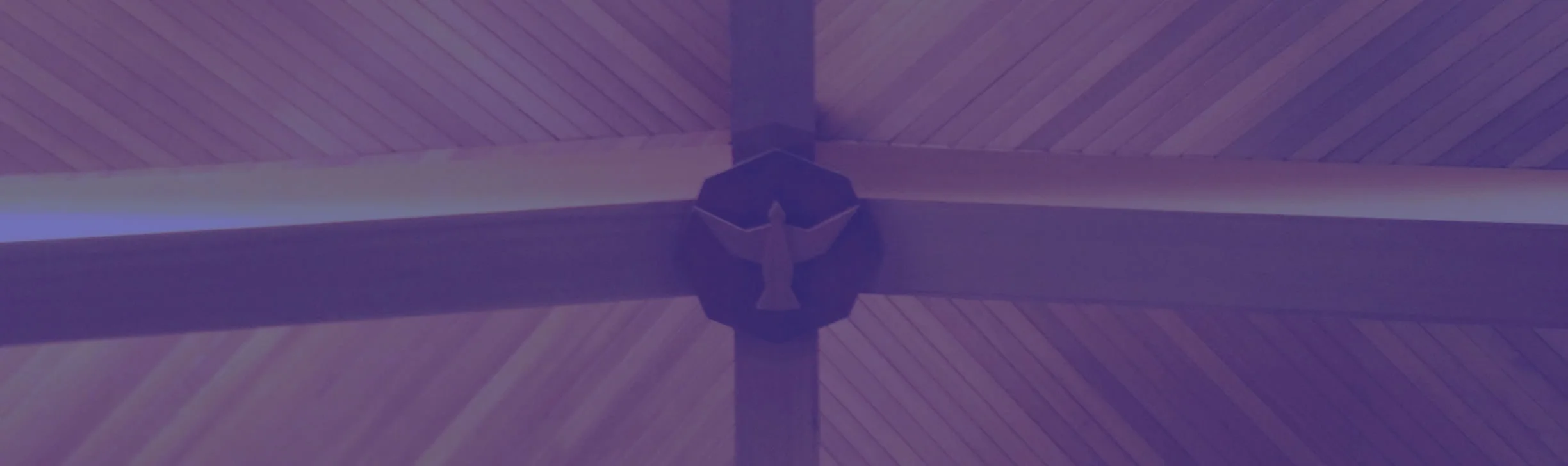 Church Ceiling dove.jpg