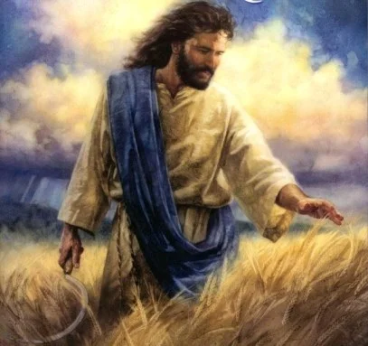 Jesus in wheat field.jpg