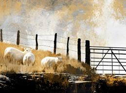 4th Sunday of Easter - A, 26th April 2026