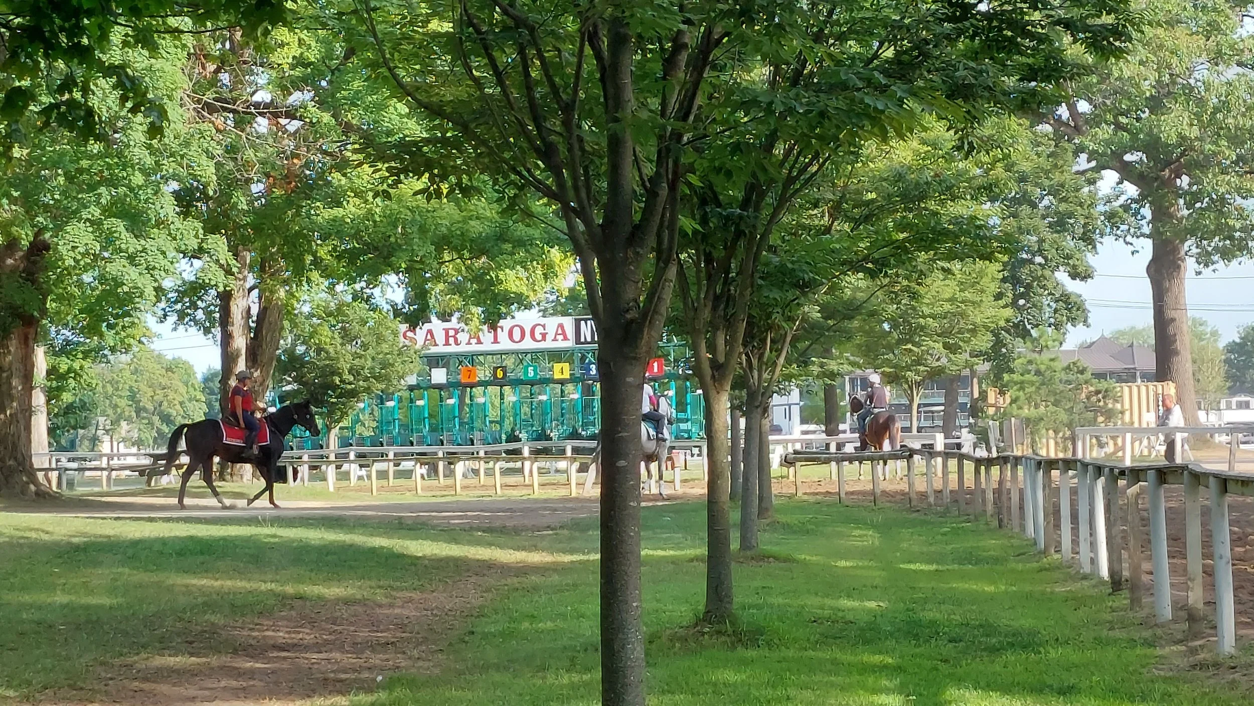 20220816_083524.jpg
