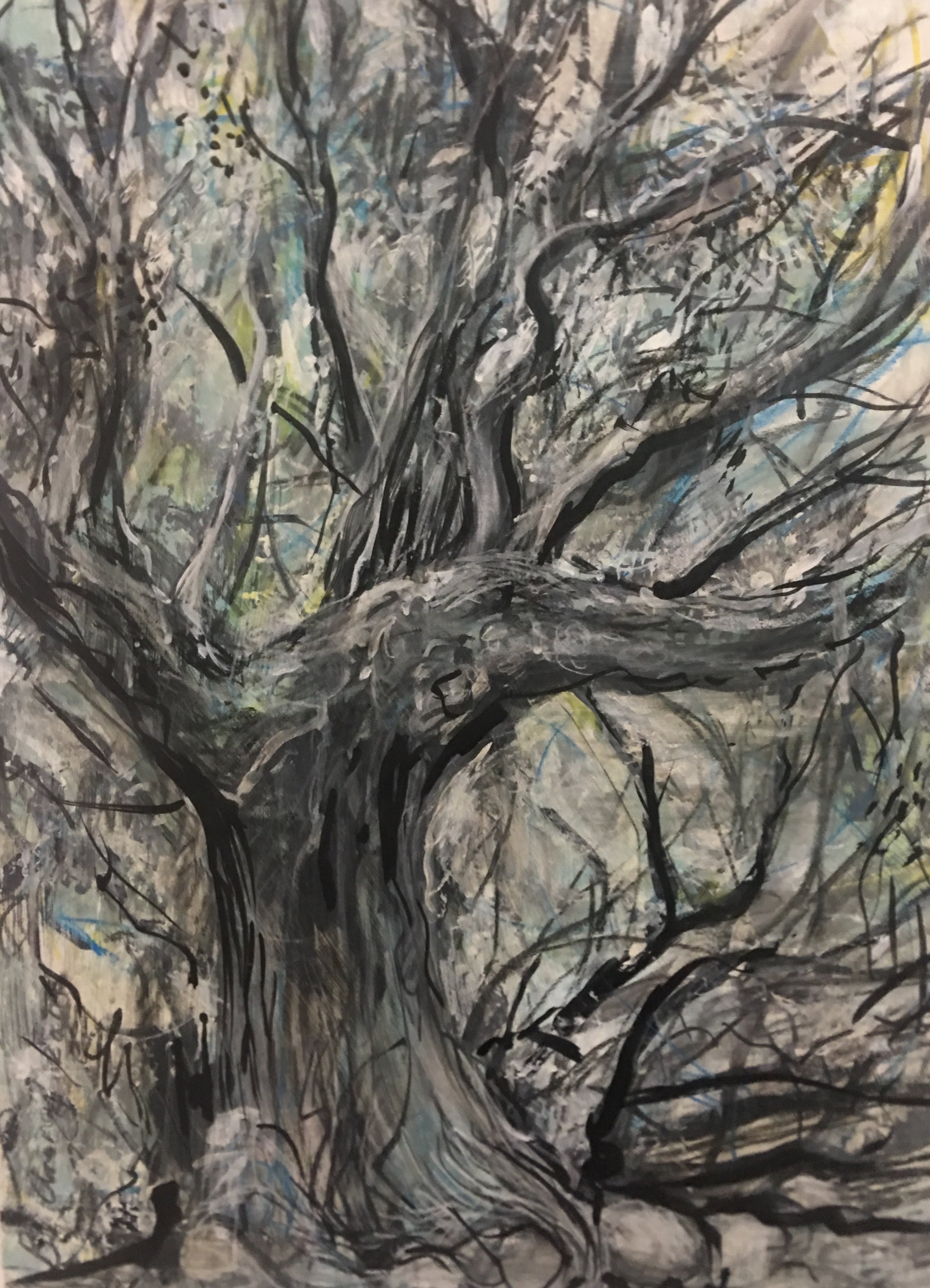 Old Riverine Tree