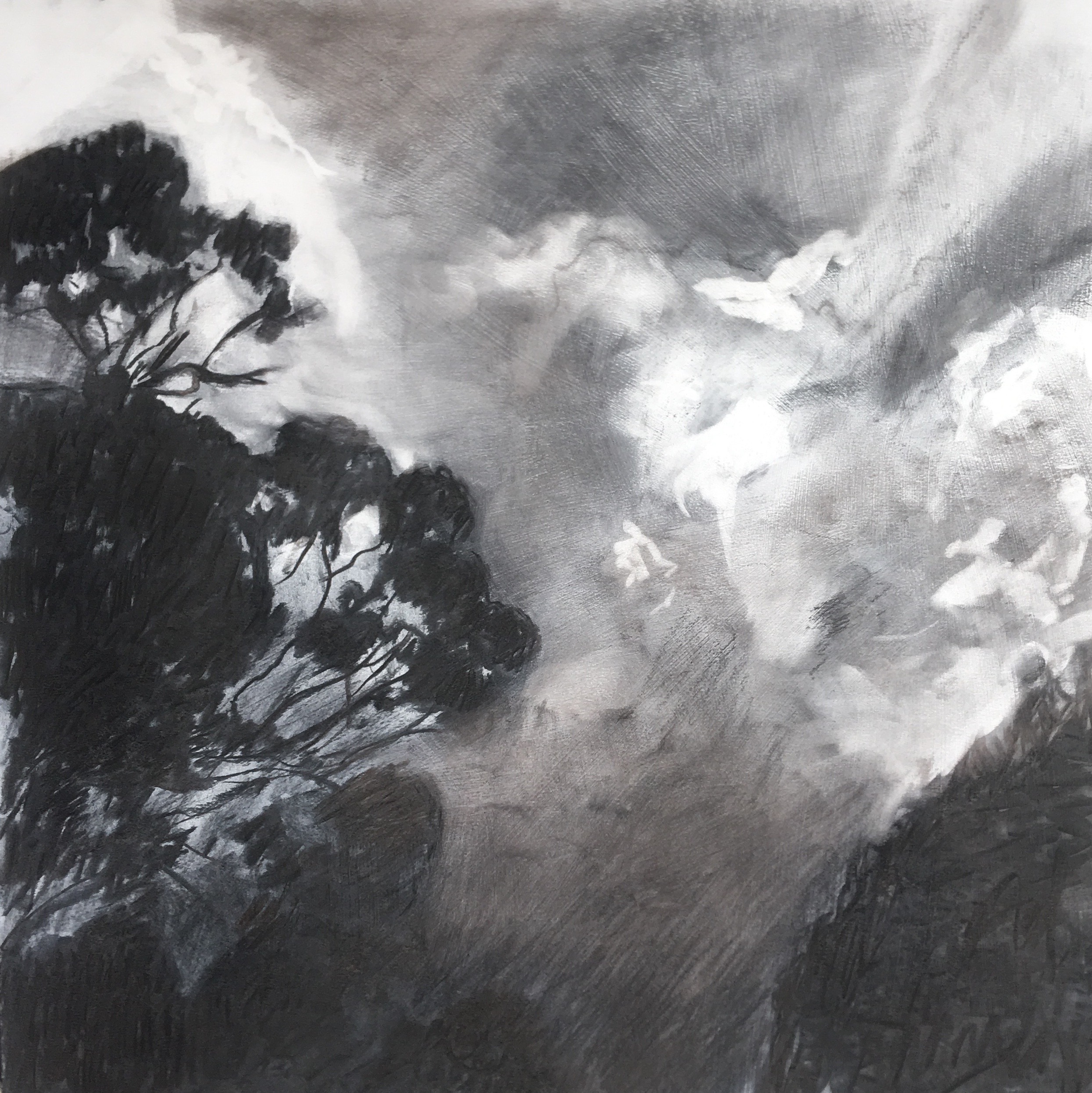 Storm Clouds