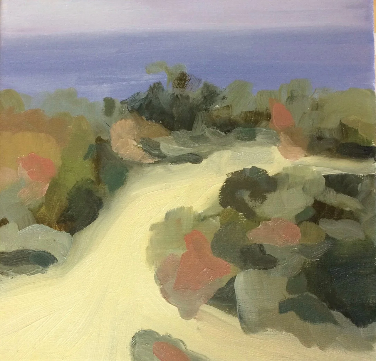 Sand Dunes IMG_3788.jpg 30x30cm