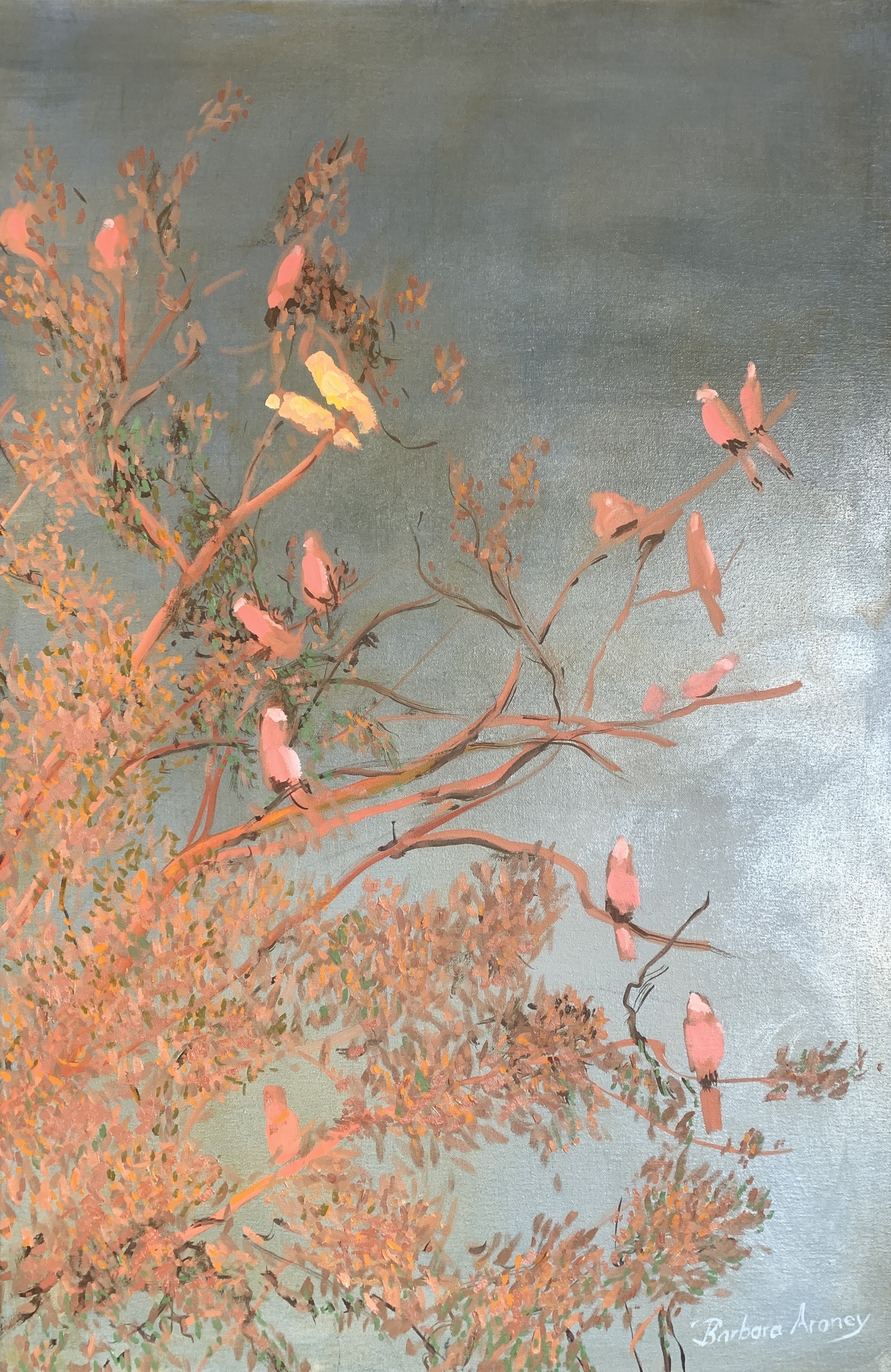 Galah Sunrise
