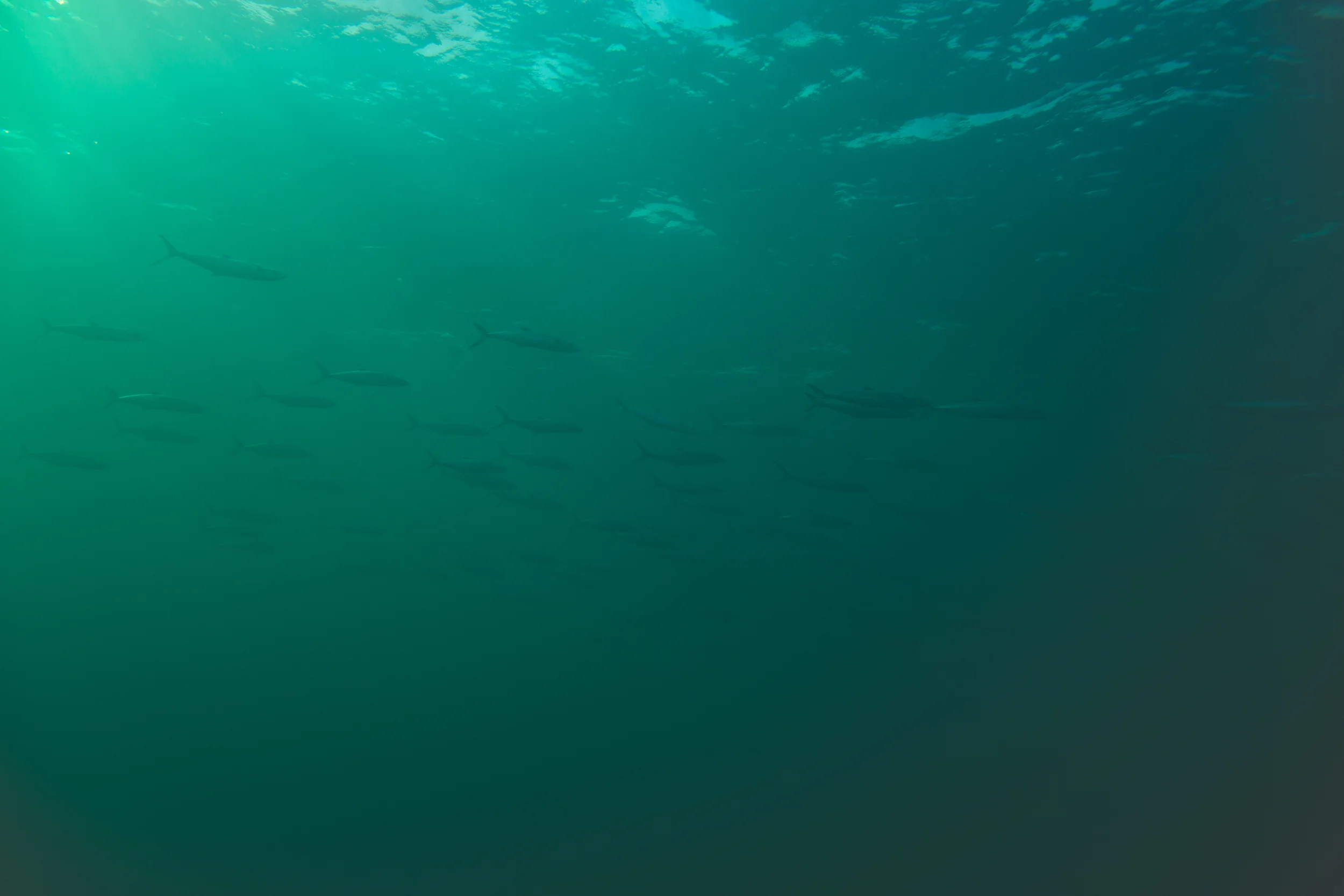 20150324-7U7A9827-Edit.jpg