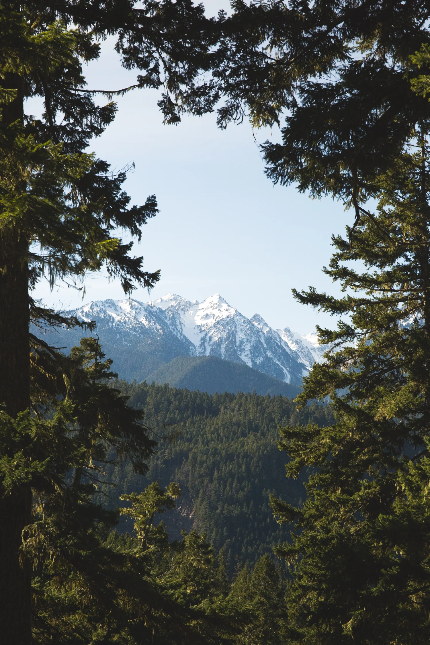 20150303-7U7A9469-Edit-Edit-2.jpg