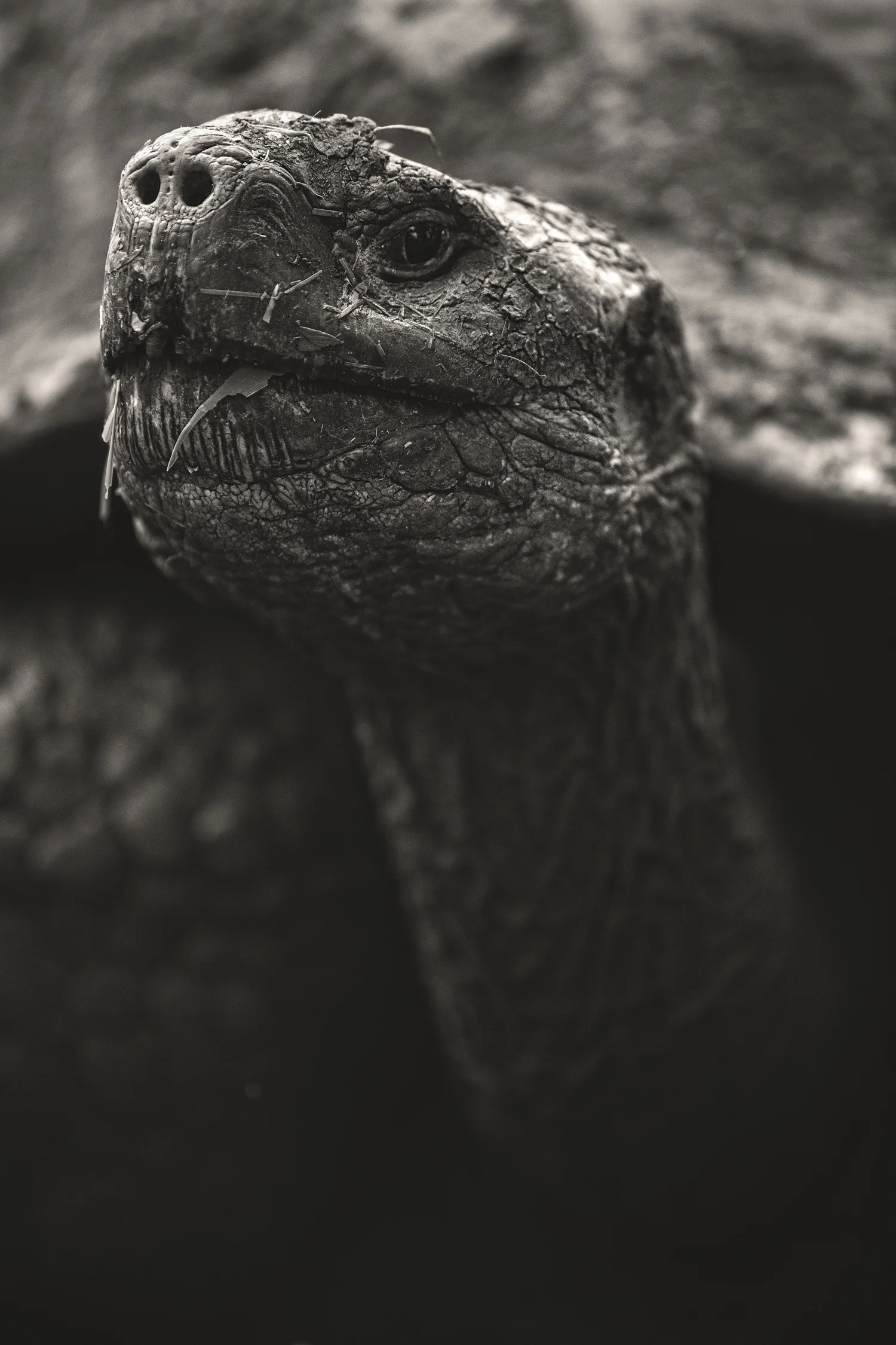 20141220-7U7A7369-Edit-Edit.jpg