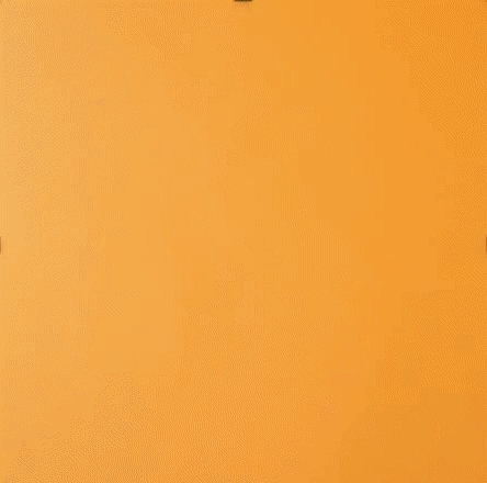 bees.gif