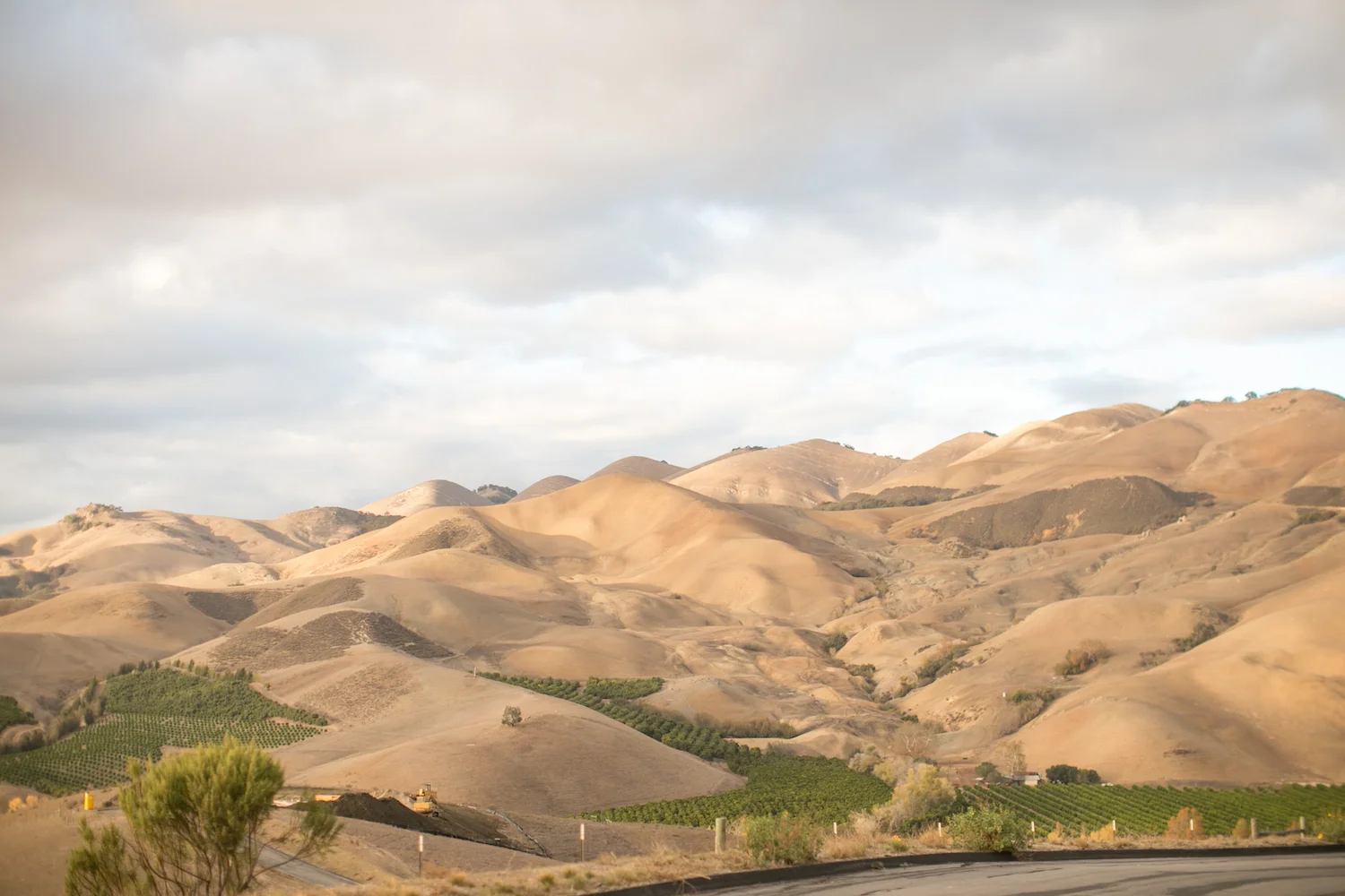 Mitchell & Leigh-0057.jpg