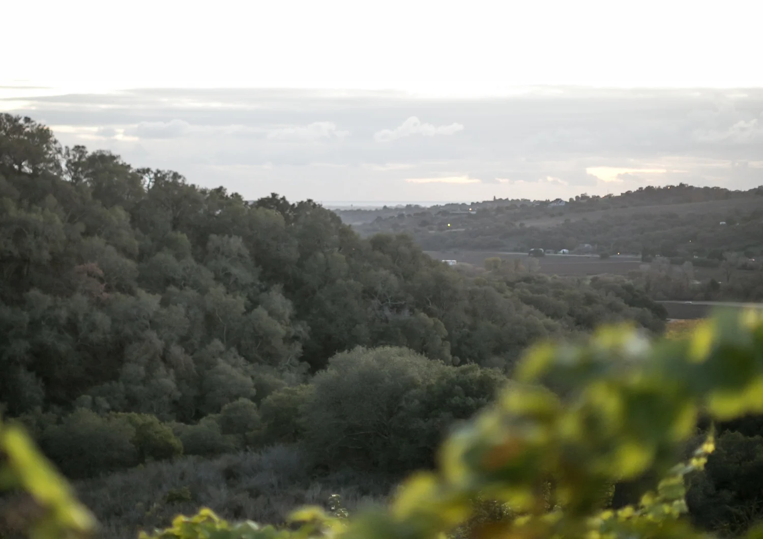 Mitchell & Leigh-0202.jpg