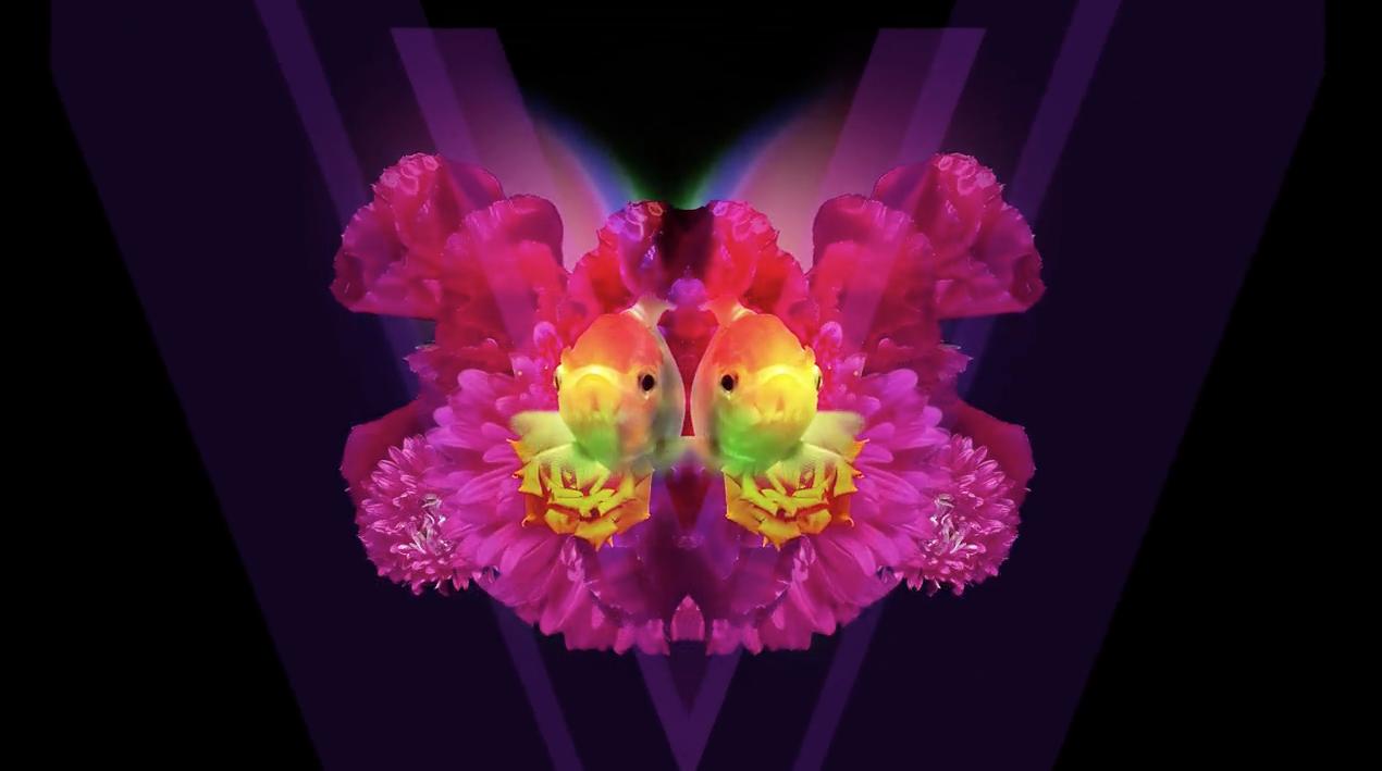 Screen Shot 2016-01-05 at 4.03.16 pm.png