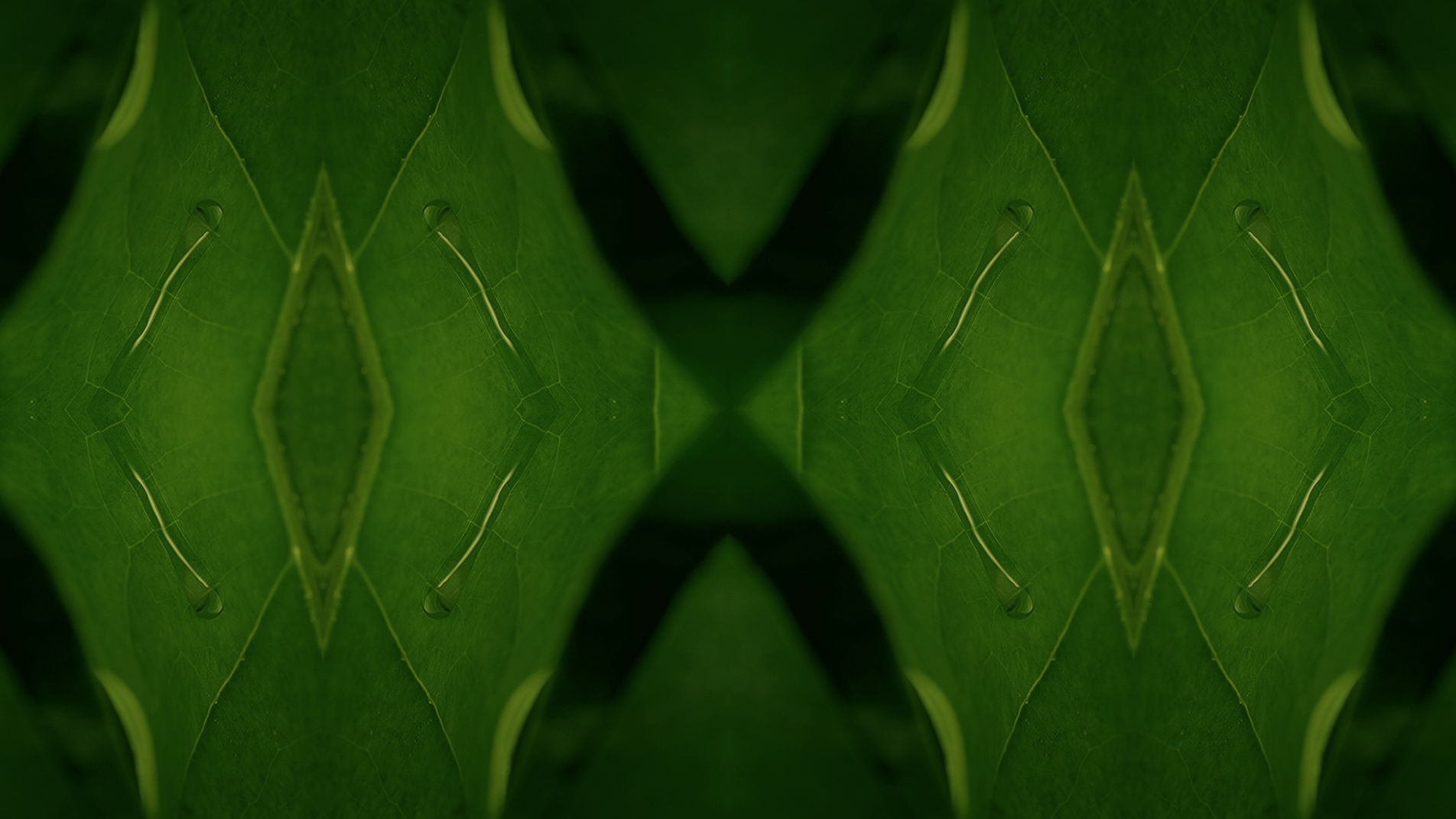 Screen Shot 2016-01-05 at 5.26.28 pm.png