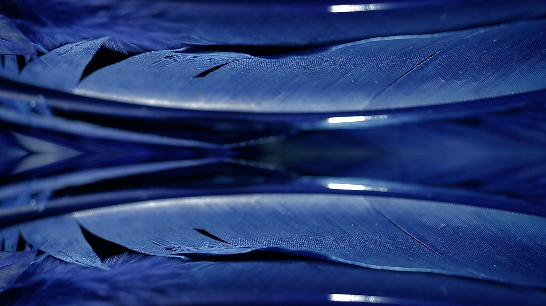 Screen Shot 2016-01-05 at 5.26.50 pm.png