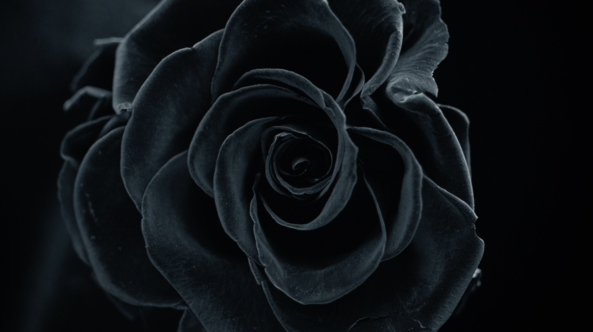 Screen Shot 2016-01-05 at 5.27.22 pm.png