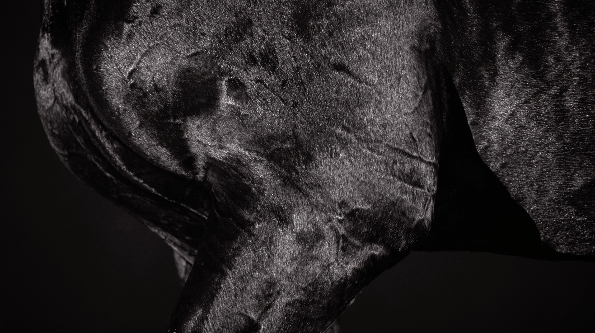 Screen Shot 2016-01-05 at 5.27.28 pm.png