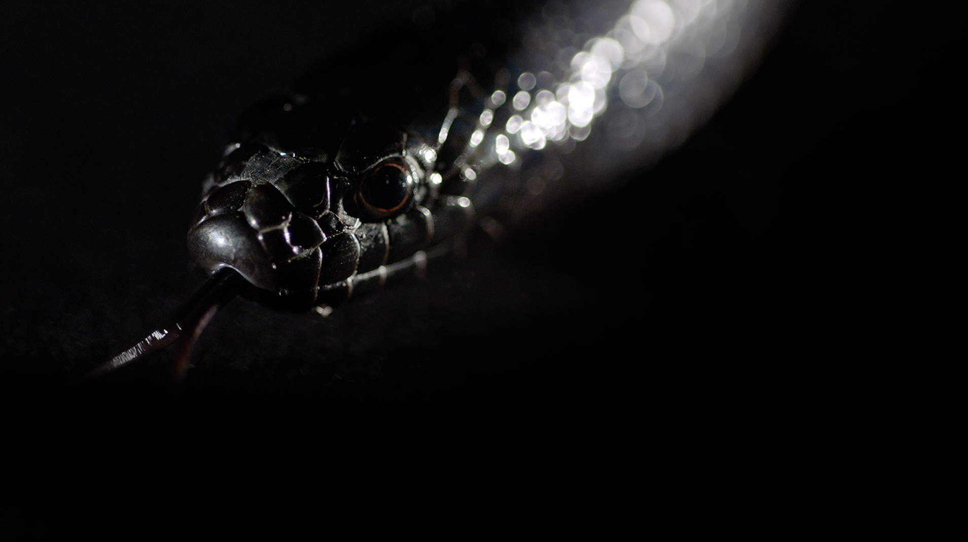 Screen Shot 2016-01-05 at 5.27.41 pm.png