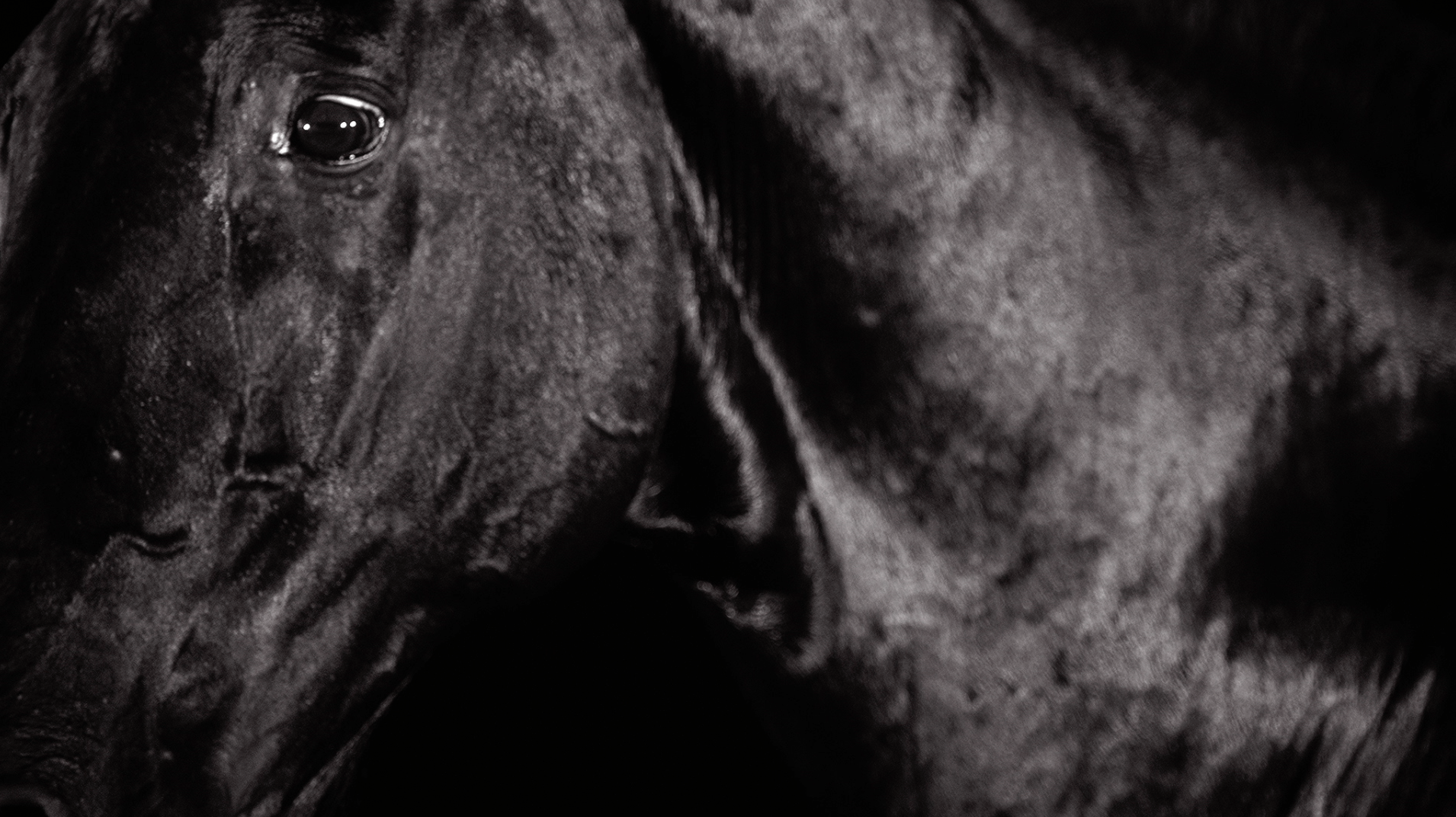 Screen Shot 2016-01-05 at 5.27.47 pm.png