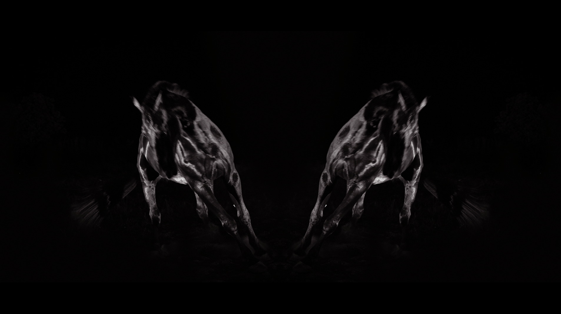 Screen Shot 2016-01-05 at 5.28.05 pm.png