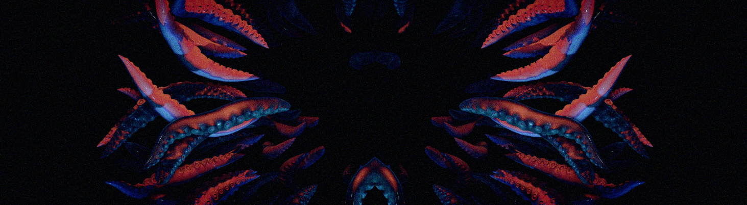 Screen Shot 2018-06-05 at 1.38.18 PM.png
