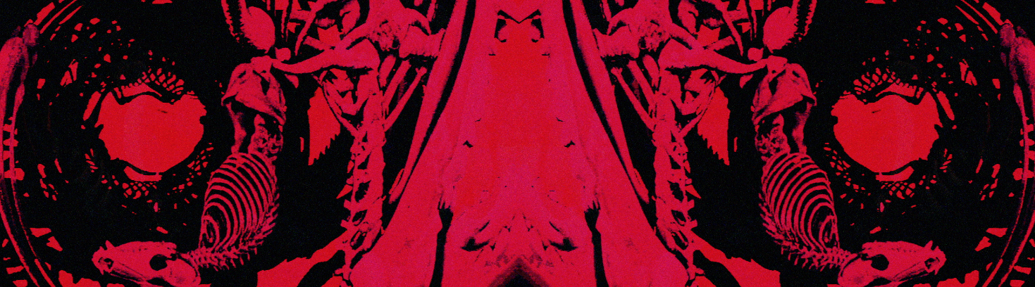 Screen Shot 2018-06-05 at 1.42.17 PM.png