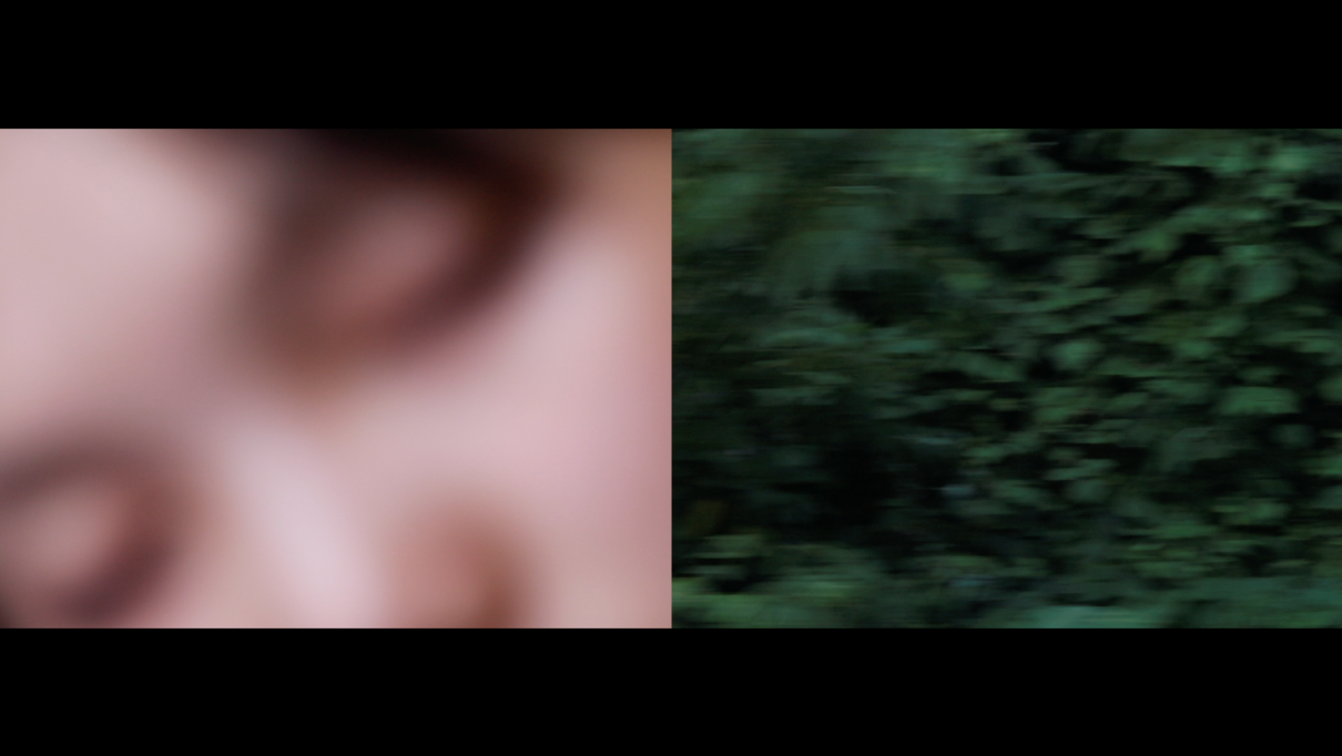 Screen Shot 2018-09-12 at 11.48.47 AM.png