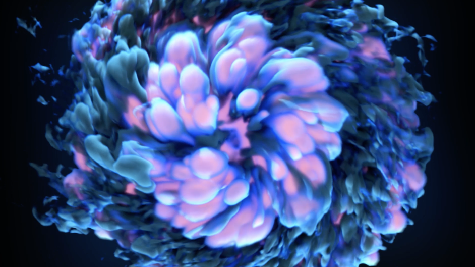 Screen Shot 2019-04-15 at 12.16.37 PM.png